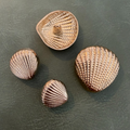 Metal buttons ME-9019 gold shank seashell